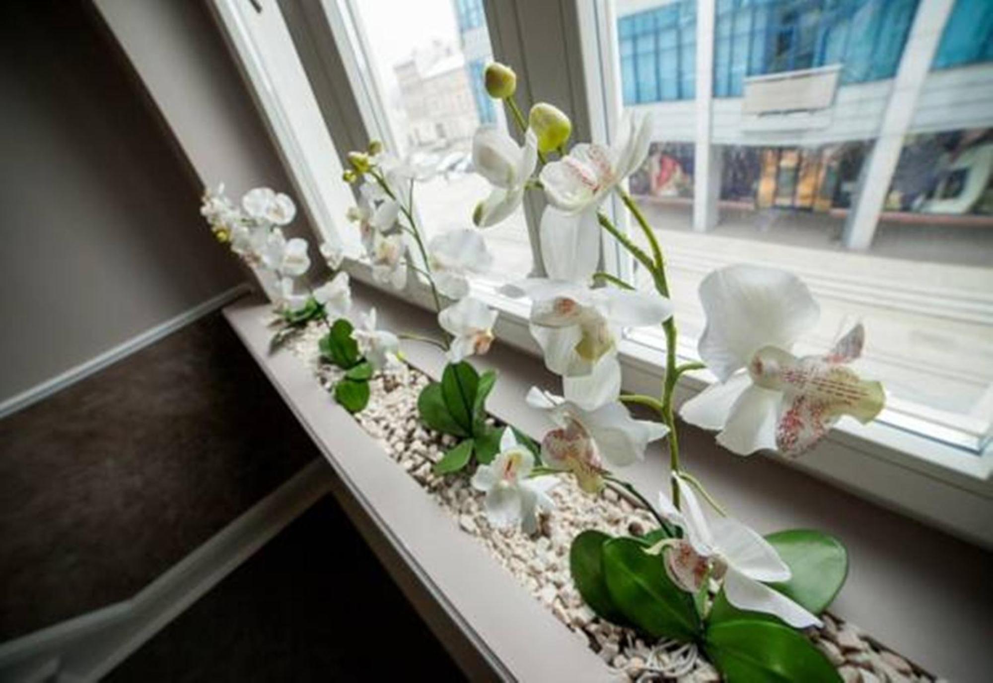 Aparthotel Platinum Apartamenty Inowrocław Exteriör bild